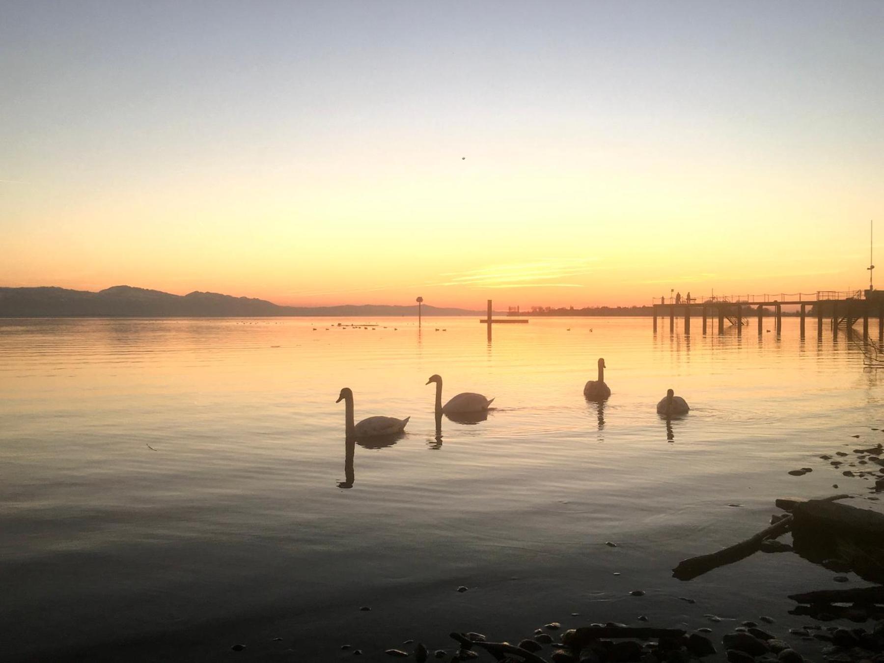Ferienwohnung Insel-Ambiente Lindau  Eksteriør billede