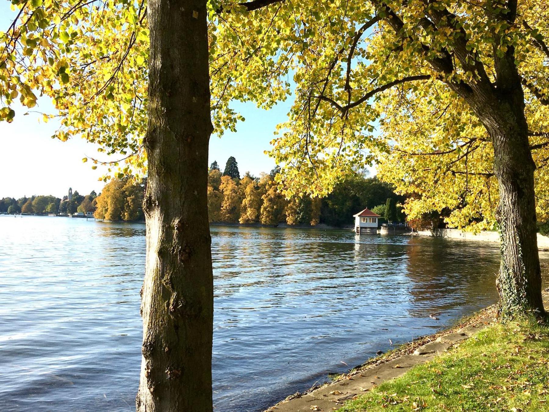 Ferienwohnung Insel-Ambiente Lindau  Eksteriør billede